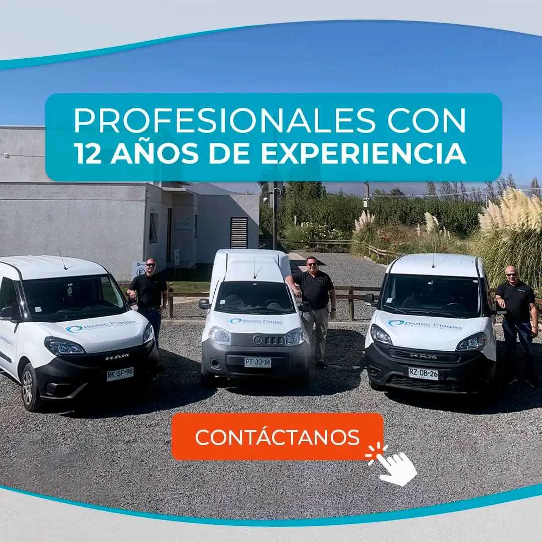Biotec Plagas — Branding