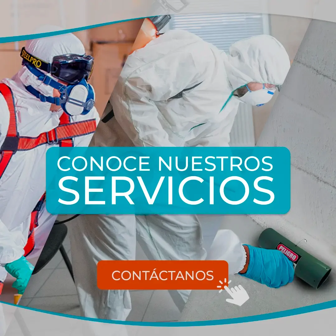 Conoce nuestros servicios